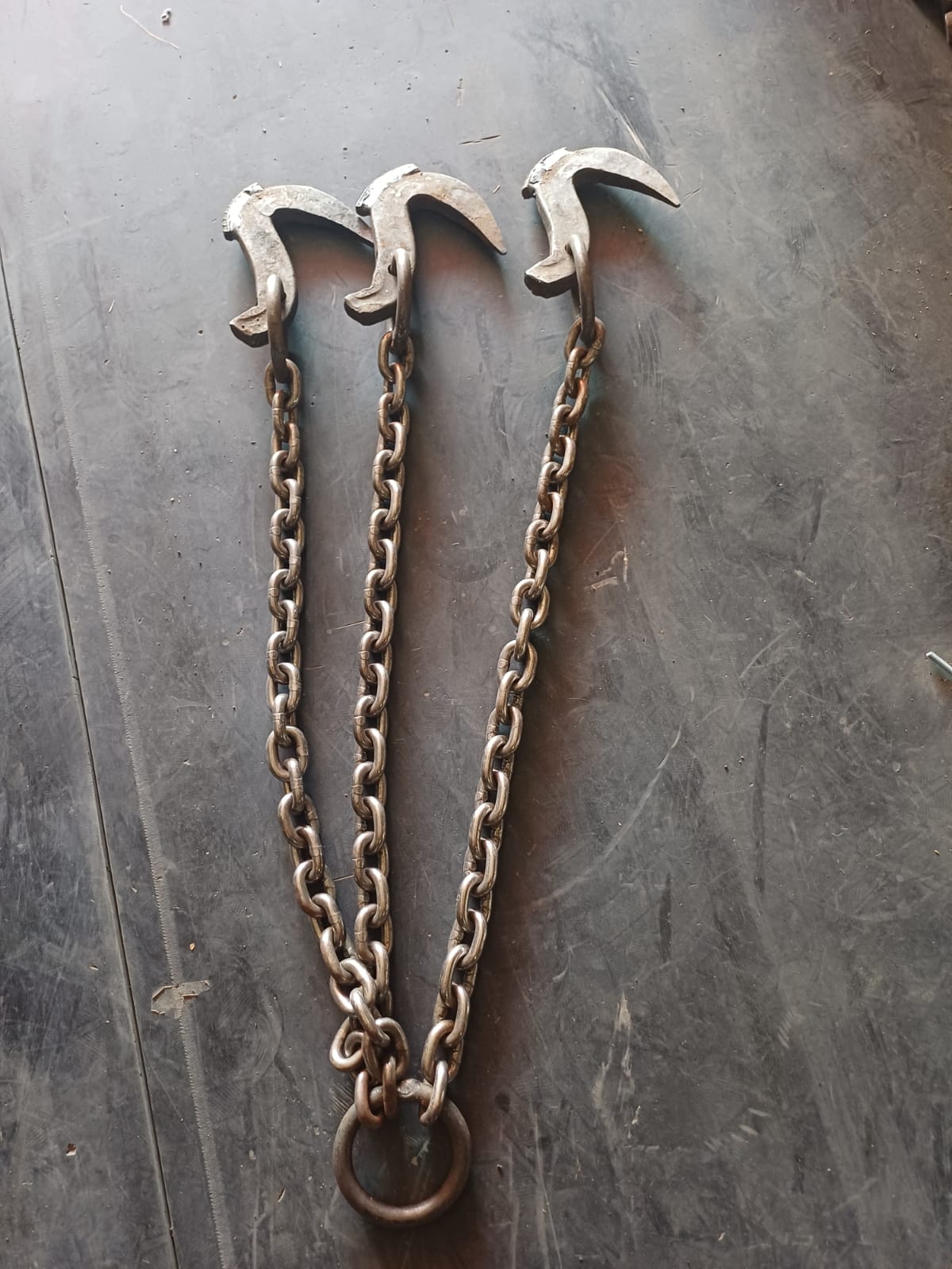 Tomruk kancası hazır (Fiyat her bir sıra için)