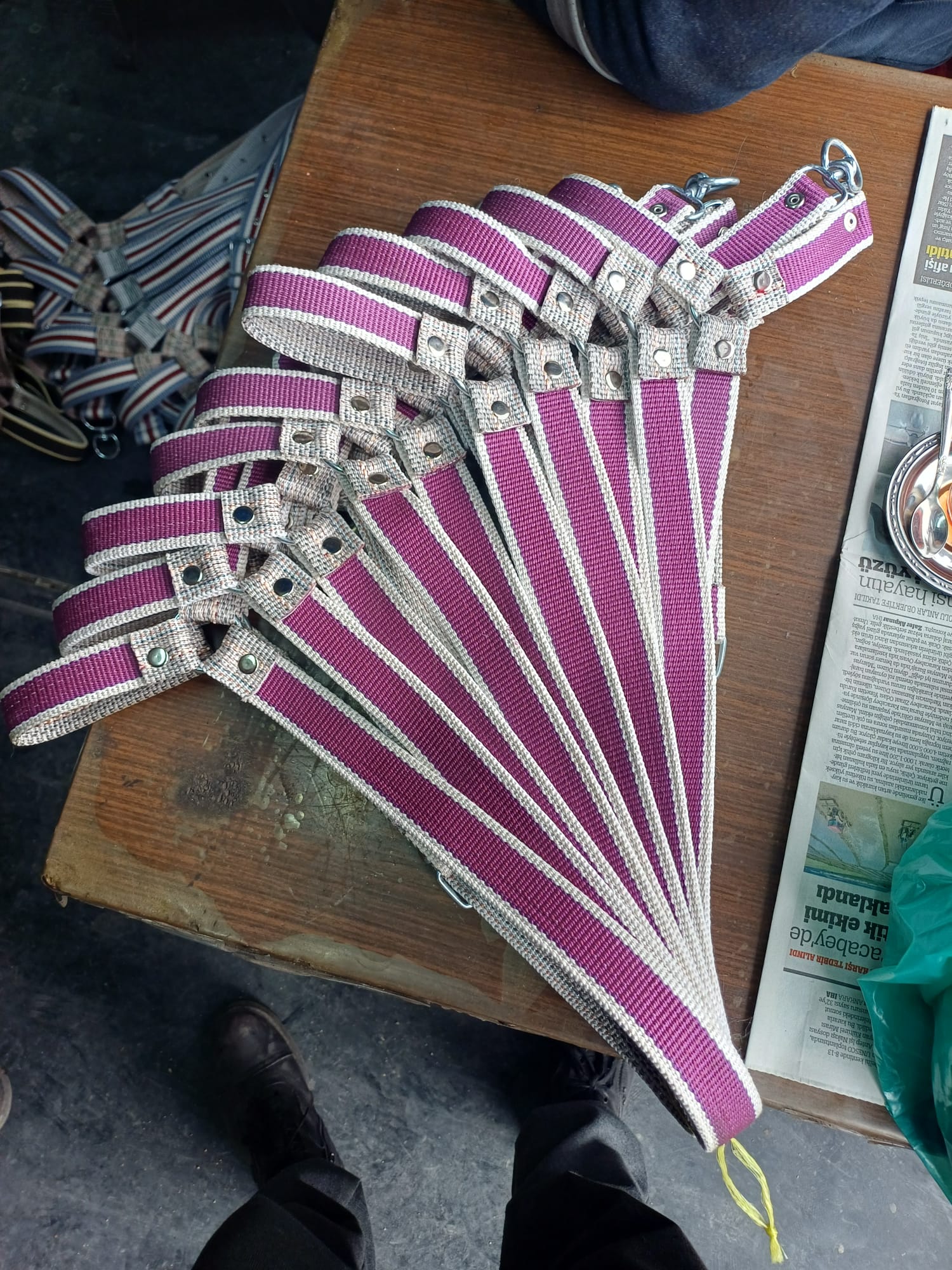 Tasma hayvan başlık ufak