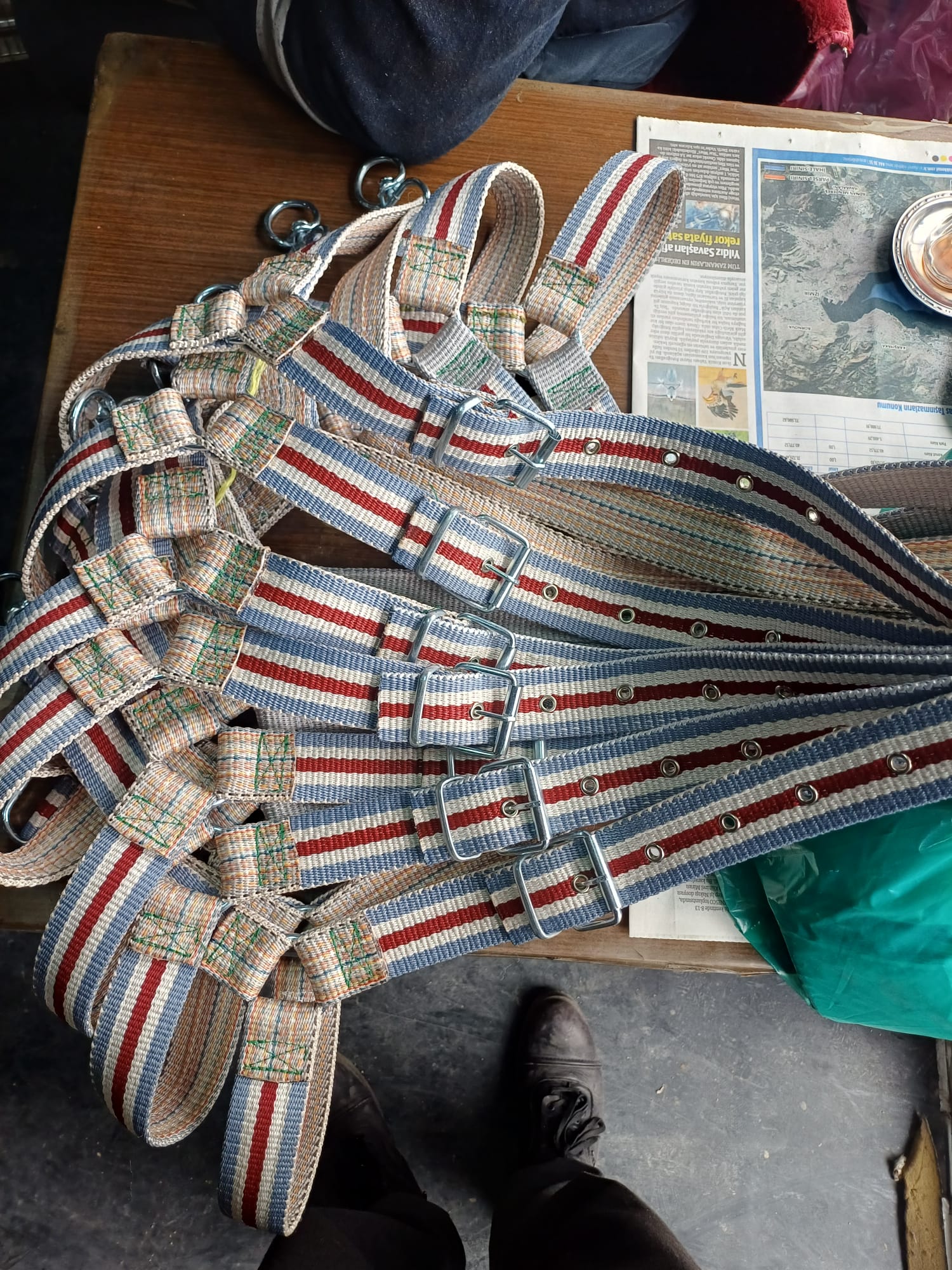 Tasma hayvan başlık büyük