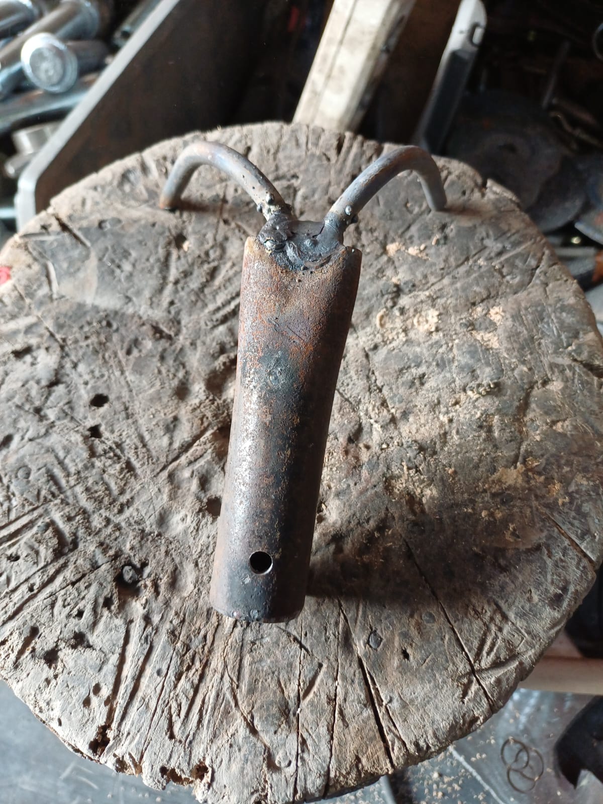 Mantar toplama aparatı