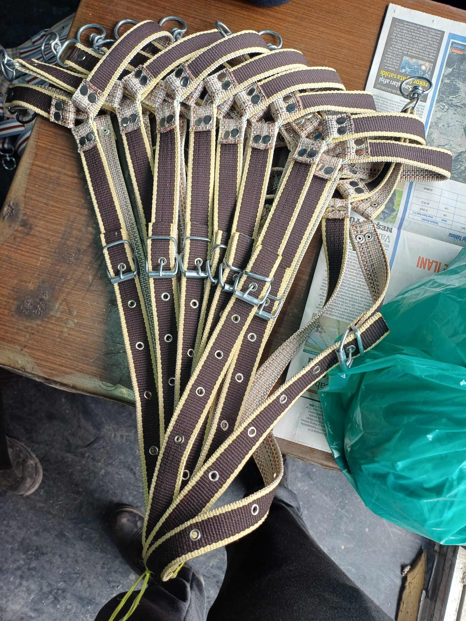 Tasma hayvan başlık orta