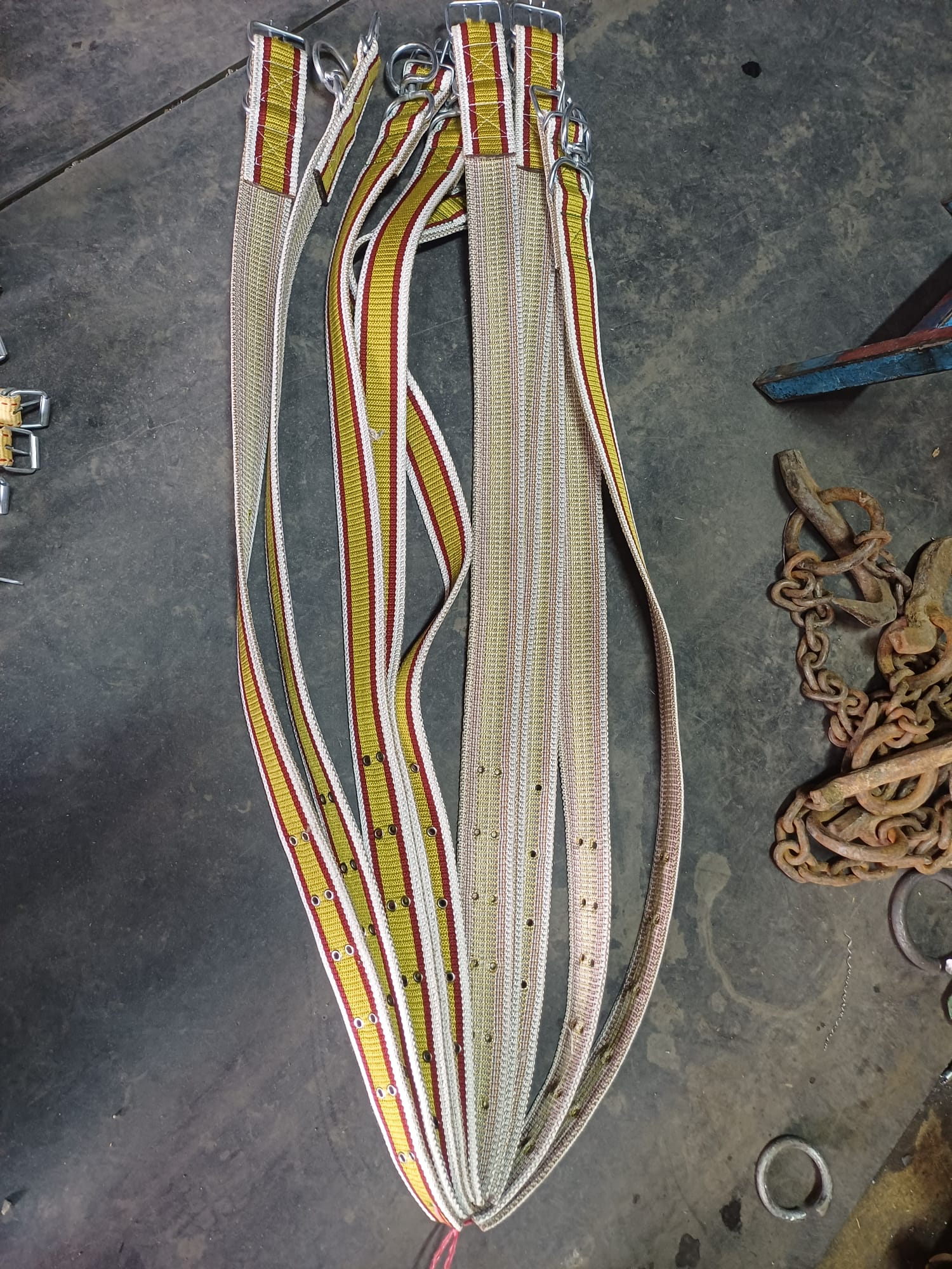 Tasma 5x110